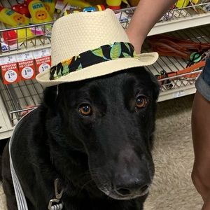 Meet your Posher, Tristen